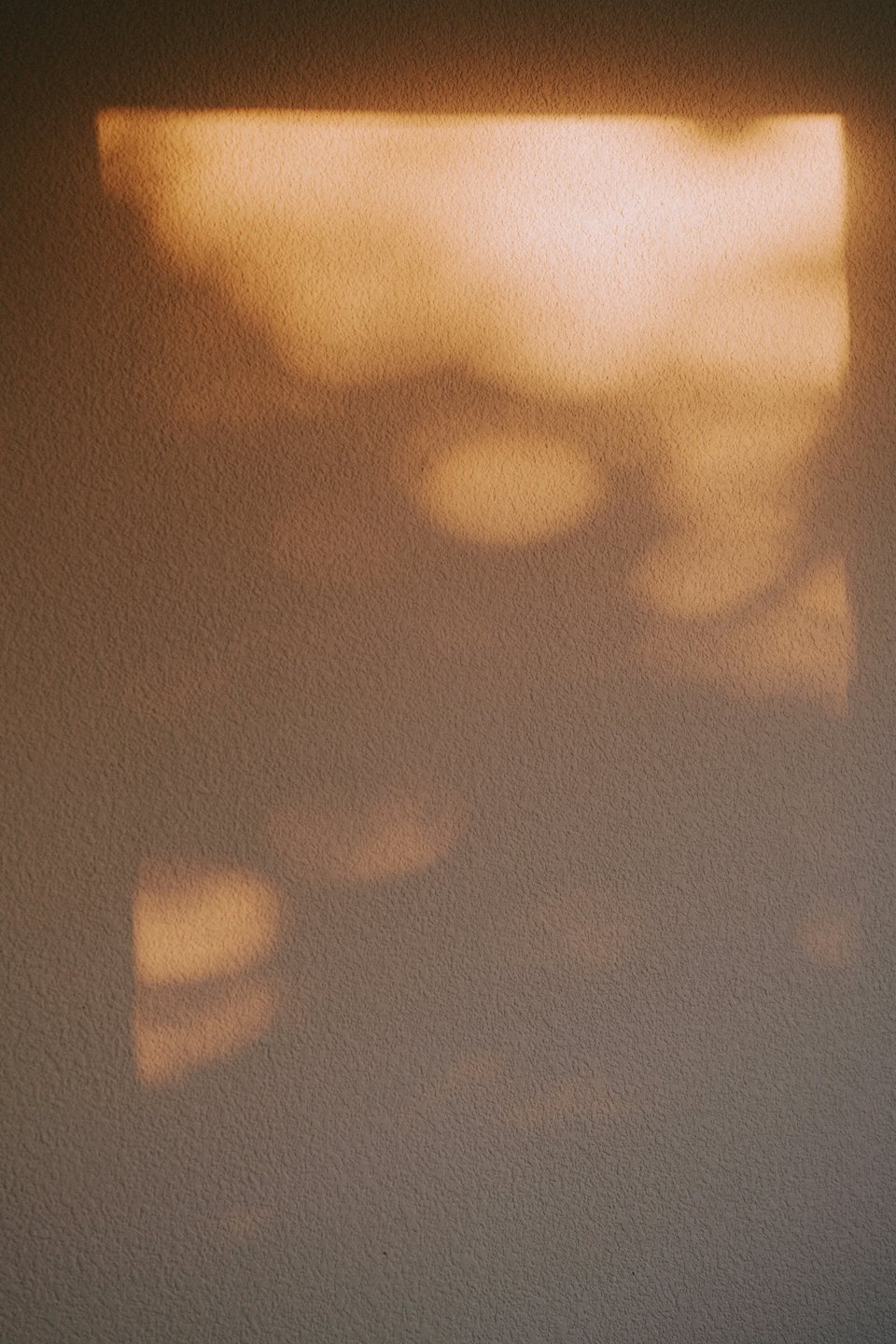 Sunlight and shadows fall across a textured brown wall.