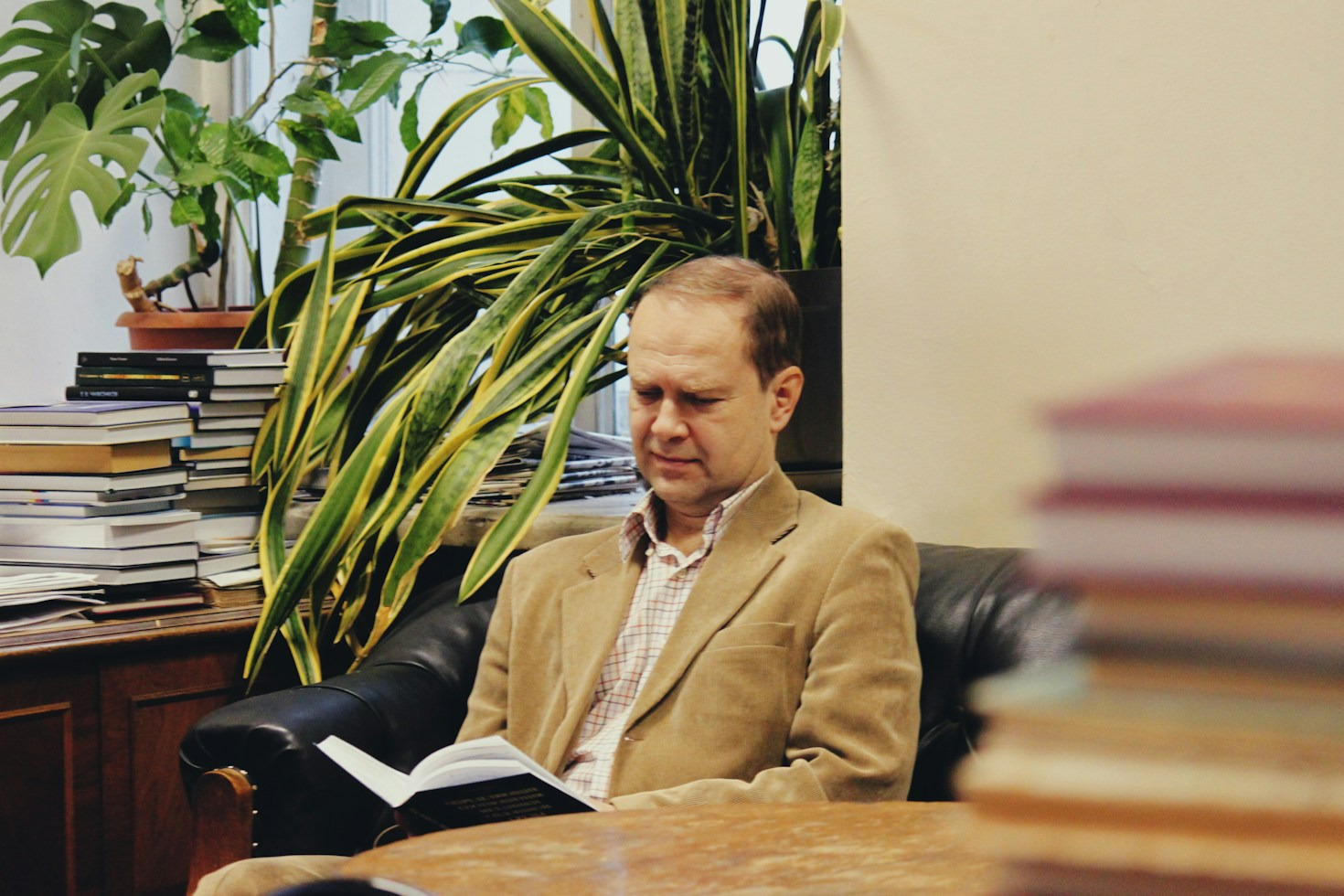Finding Wonder: Our Curators Reveal Their Creative Process